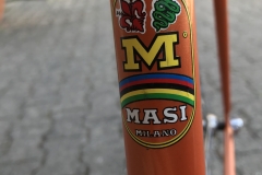 Masi