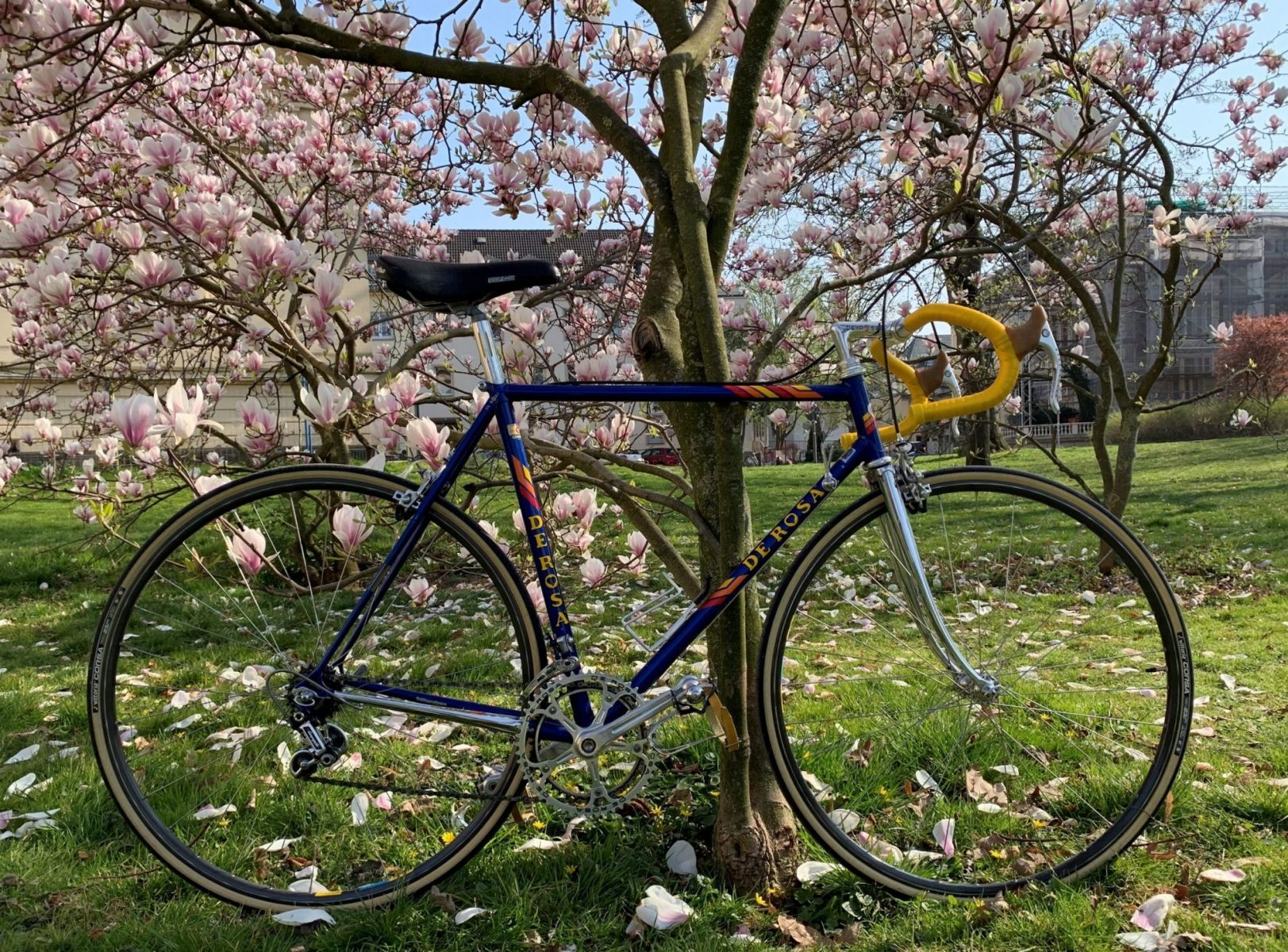 Campagnolo Werkzeugkoffer Vintage Road Bikes